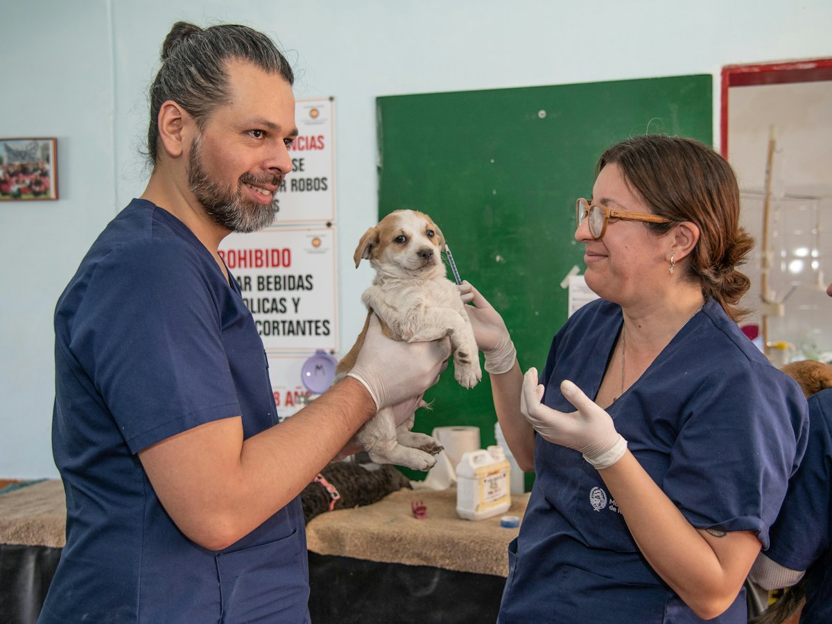 Dos veterinarios atienden a un cachorro