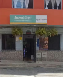 Fachada de Animal City con su aviso verde y blanco sobre la entrada